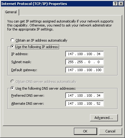 network2.jpg